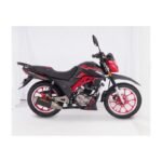 NEXUS 200 PUMA – 2025