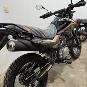 JCH WORKMAN 150 V2 - Imagen 2