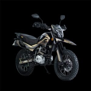 JCH WORKMAN 150 V2