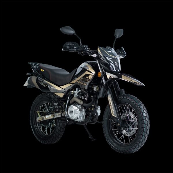 JCH WORKMAN 150 V2