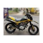 JCH WORKMAN V2 150CC